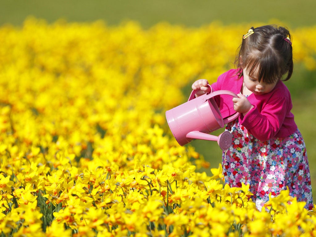 Lee-on- the- Solent in Hampshire enjoyed glorious weather yesterday