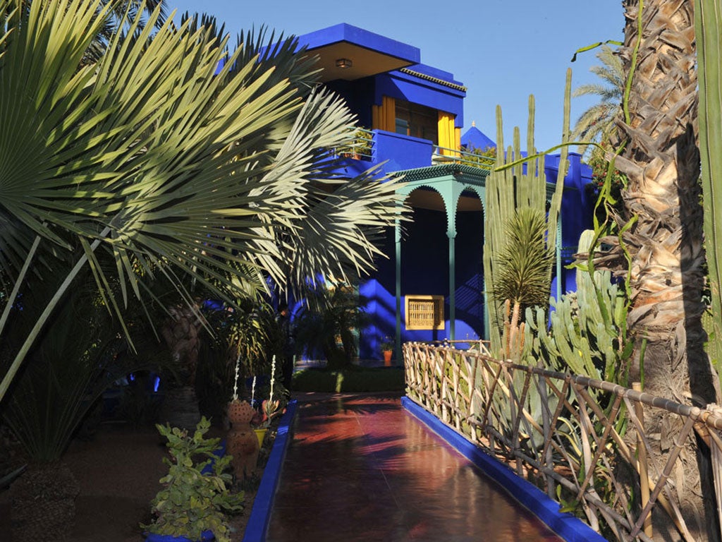 Marrakech magic: The Marjorelle Garden