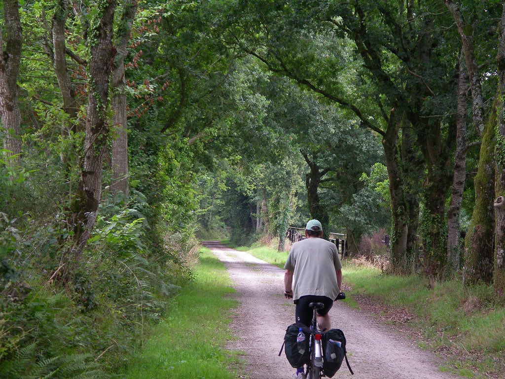 Slow lane: The author cycled along former railway tracks, past chateaux and tranquil waters