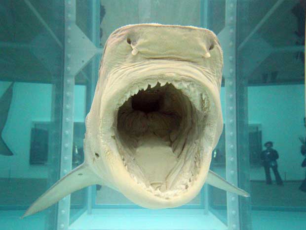 Damien Hirst’s 1991 work ‘The Physical Impossibility of Death in the Mind of Someone Living’