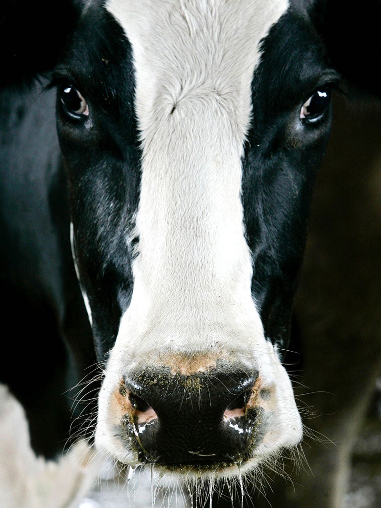 Selfridges had decided to 'temporarily cease the sale of raw milk'