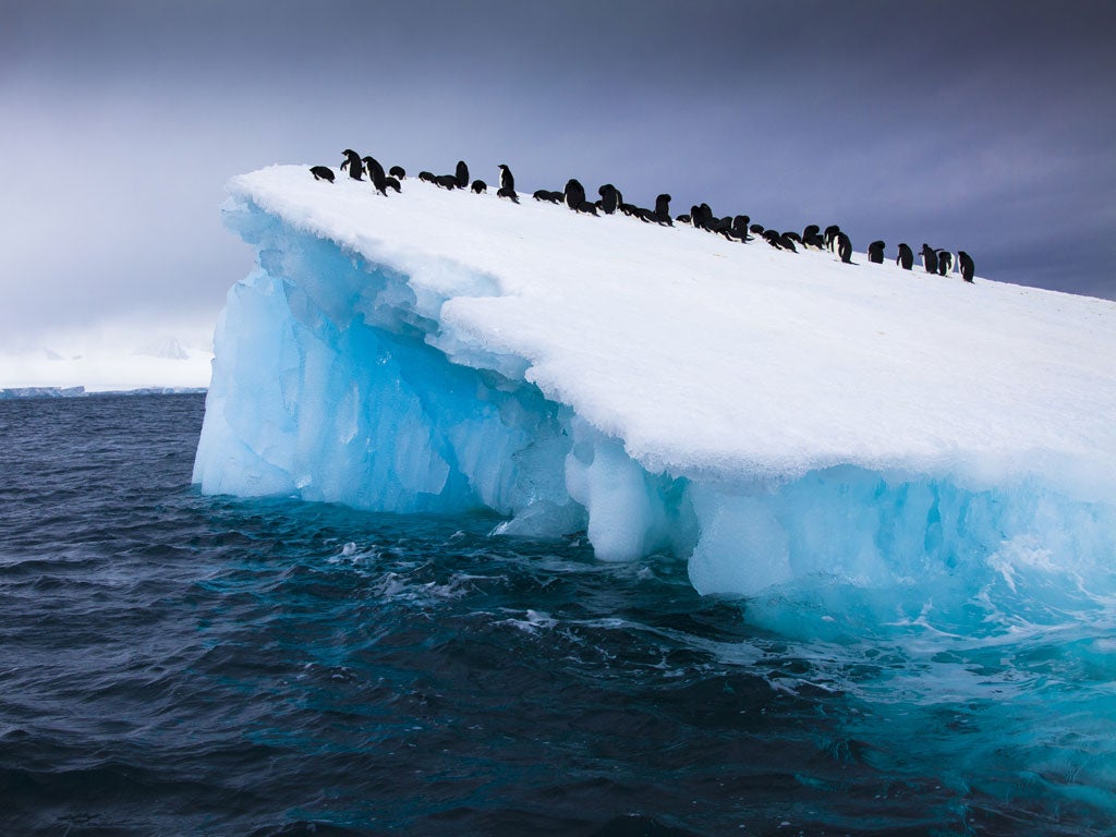 Vital climate research faces huge budget cuts, 100 years after death of Captain Scott