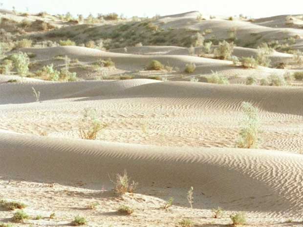 Ice hockey is hardly the most suitable sport for a desert nation