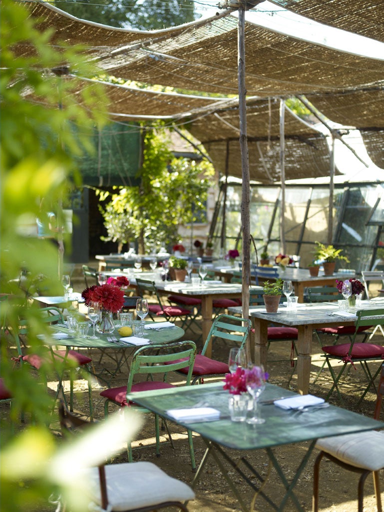 With its vine-wrapped pillars, bricolage furnishings, and bare dirt floor, Petersham Nurseries Café seems delightfully organic