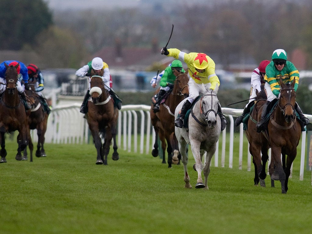 Glad to be grey: Neptune Collonges (second right) battles to beat Sunnyhillboy in the National