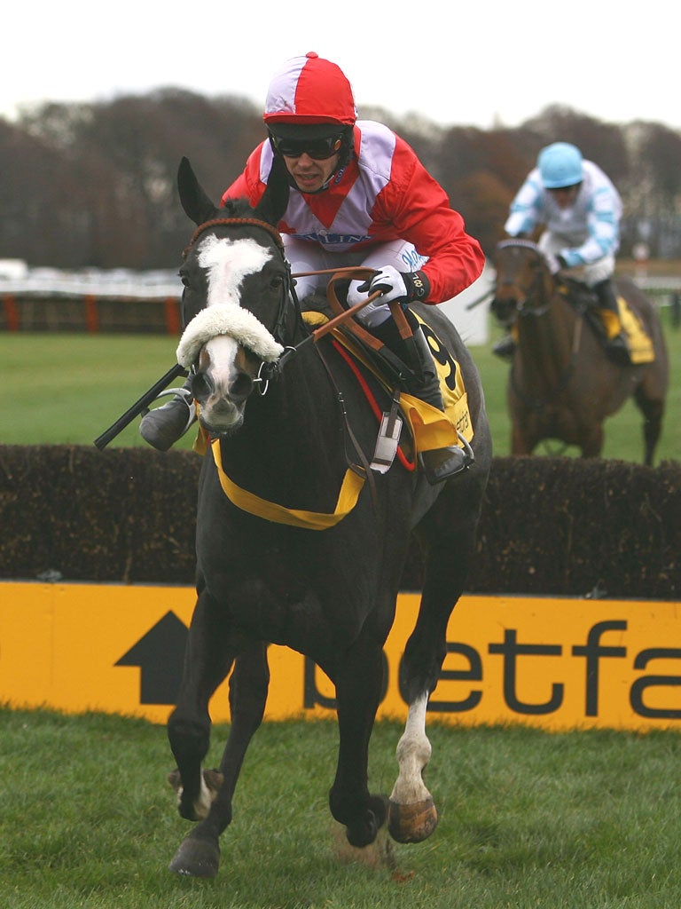 Pete was a favourite with his trainer, Malcolm Jefferson, and his owner breeder, Peter Nelson