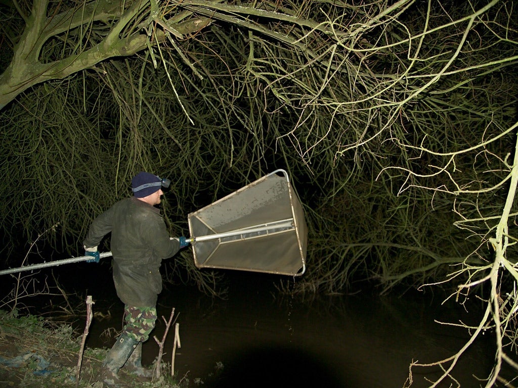 Fishing on the Severn