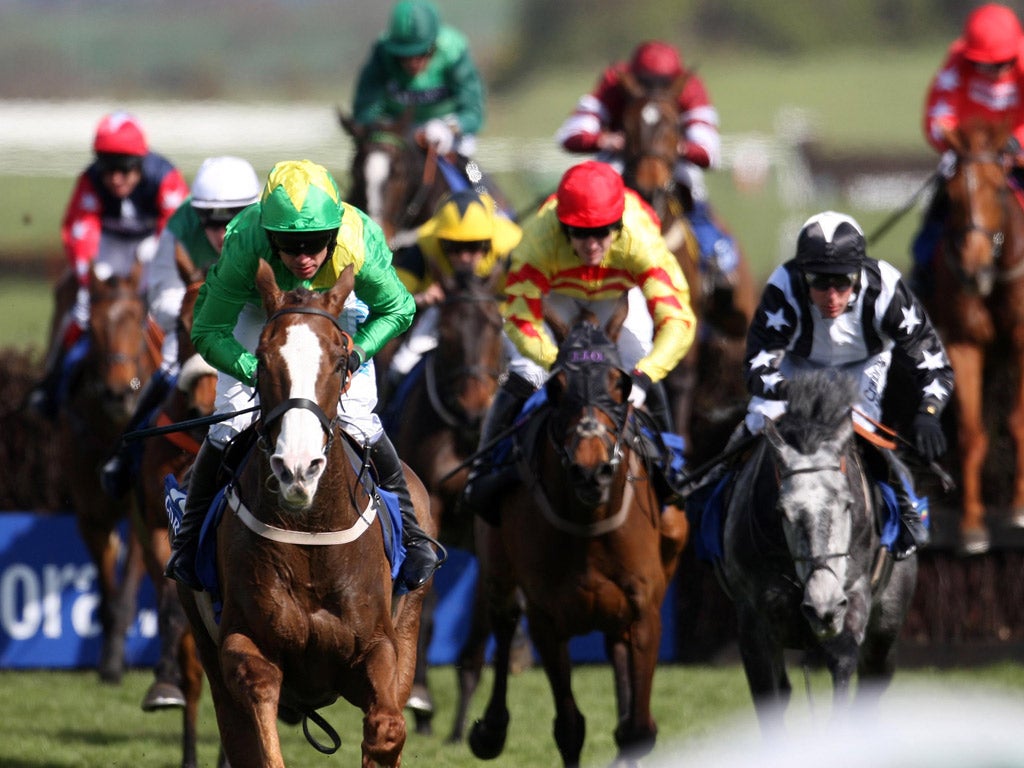 Ayr restorer: Merigo (front left) again takes the biggest jumping prize in Scotland