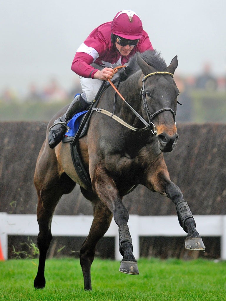 Sir Des Champs is the leading Irish hope for next year’s Gold Cup