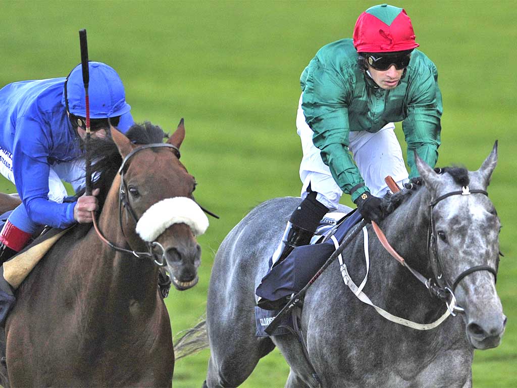 Colour Vision (right) won at Kempton yesterday