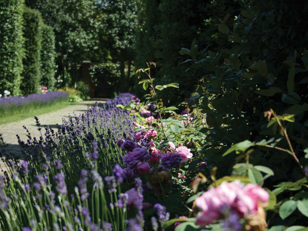 Springtime bloom: The Secret Gardens of Sandwich
