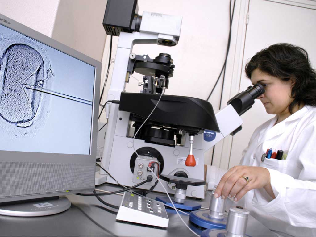 Medical Breakthrough: The vast majority of babies conceived via IVF are born healthy