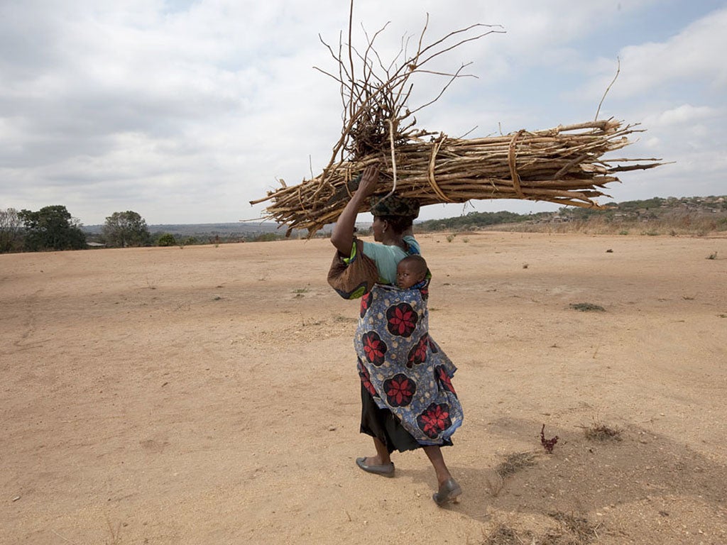 Living off the land: Most of Malawi's inhabitants are subsistence farmers