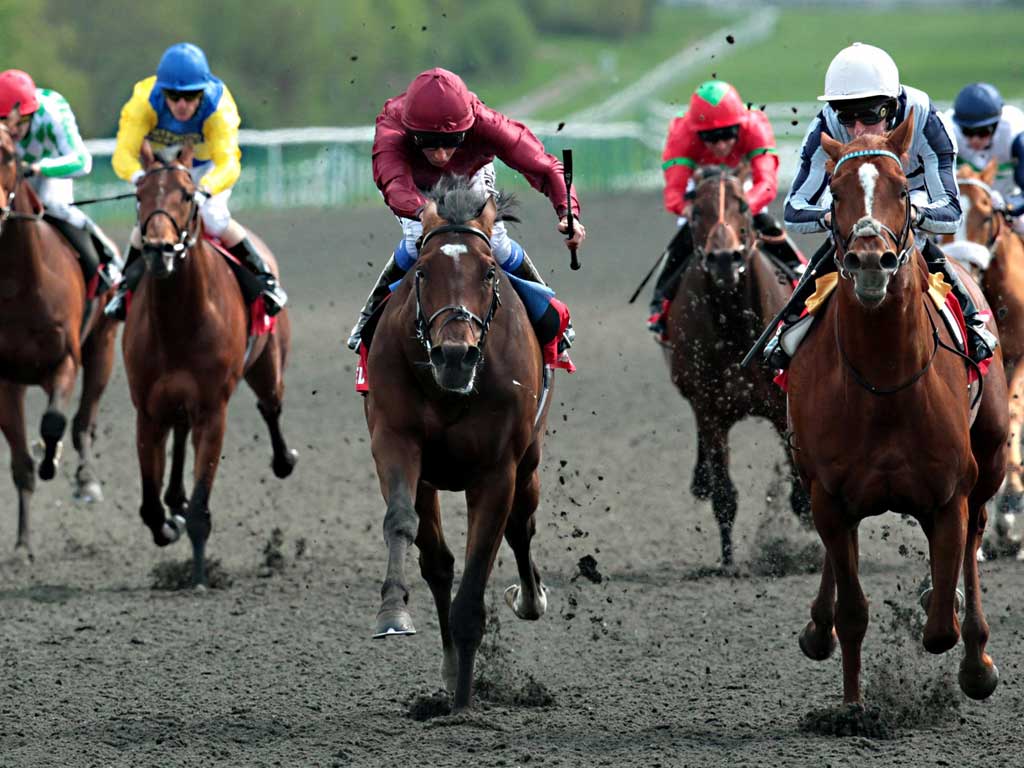 Derby bound: Ted Durcan drives Main Sequence to victory at Lingfield