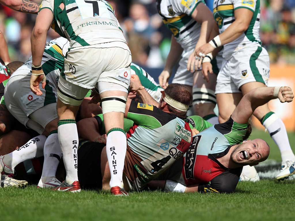 Pleased as punch: George Robson of Harlequins celebrates Joe Marler's try