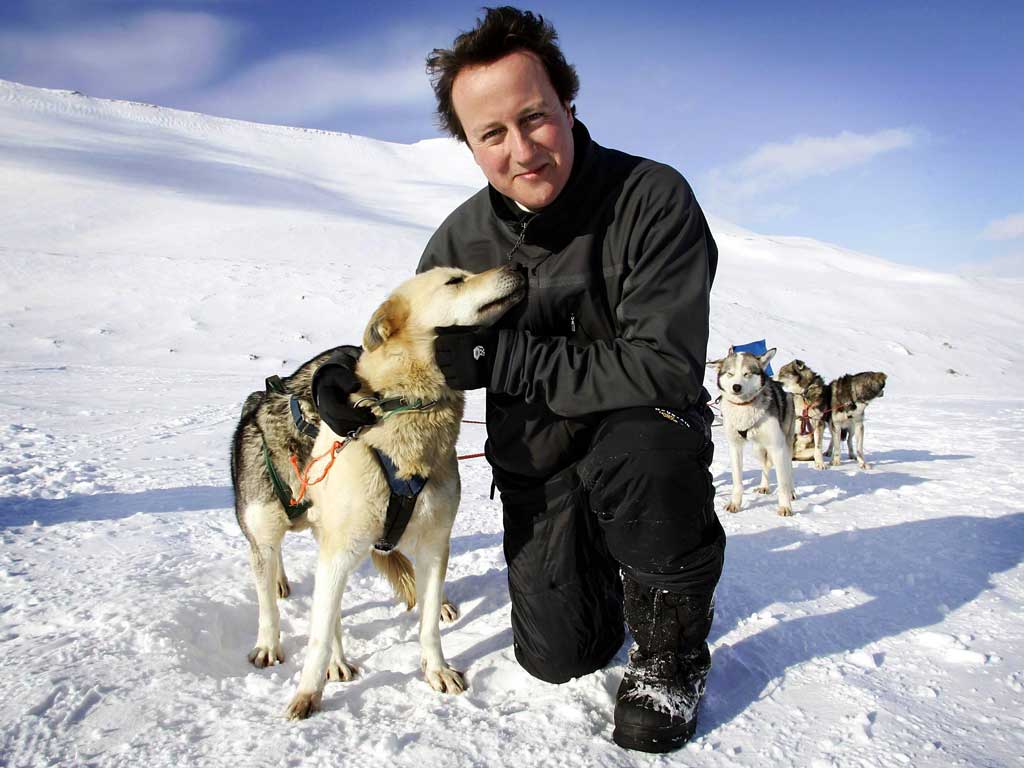 Happy days: David Cameron in Svalbard, Norway on a 2006 trip designed to expound his green credentials