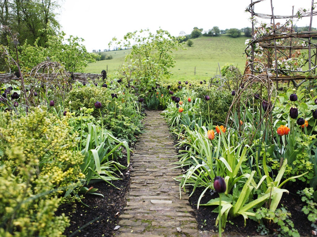 Maynard’s plant-heavy garden has inspired his entry at this year’s Chelsea Flower Show