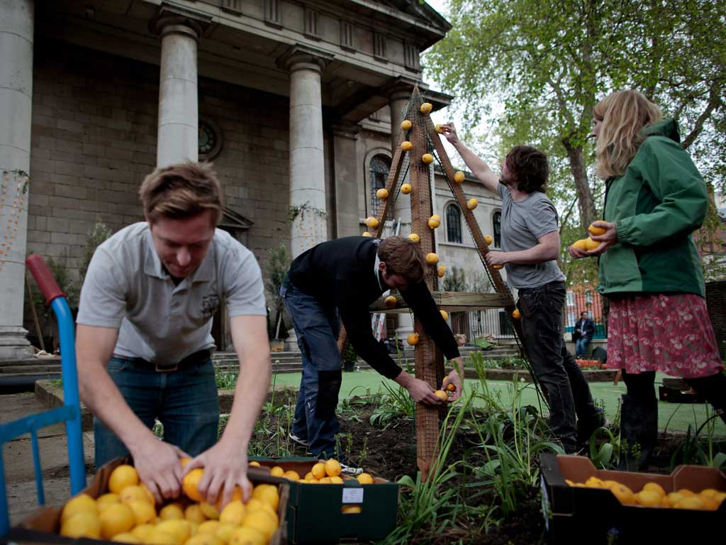 The Oranges and Lemons garden is in the courtyard of St Leonard's Church - renowned for the Bells of Shoreditch in the nursery rhyme 'Oranges and Lemons'