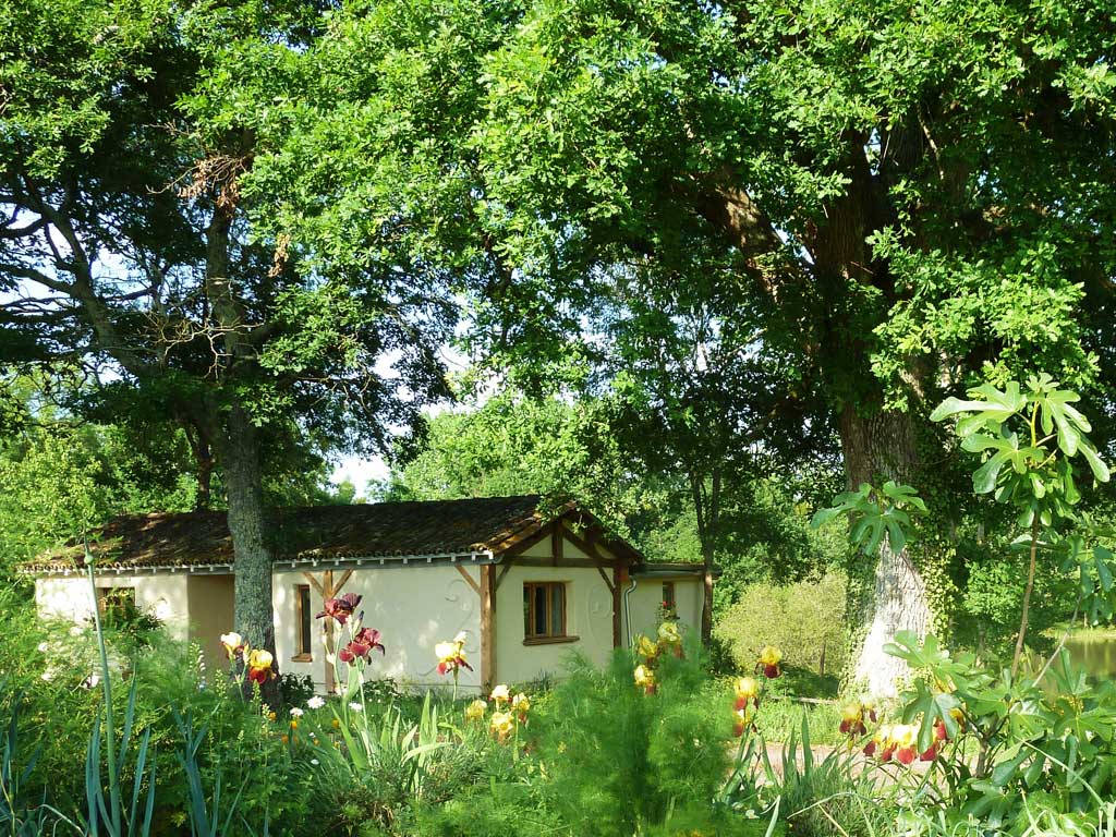 The kale of the wild: Terre et Toi