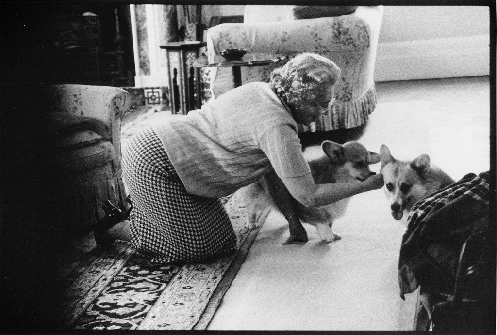 The Queen goes down on bended knee to feed one of her Corgis a royal treat in this spoof portrait by Alison Jackson.