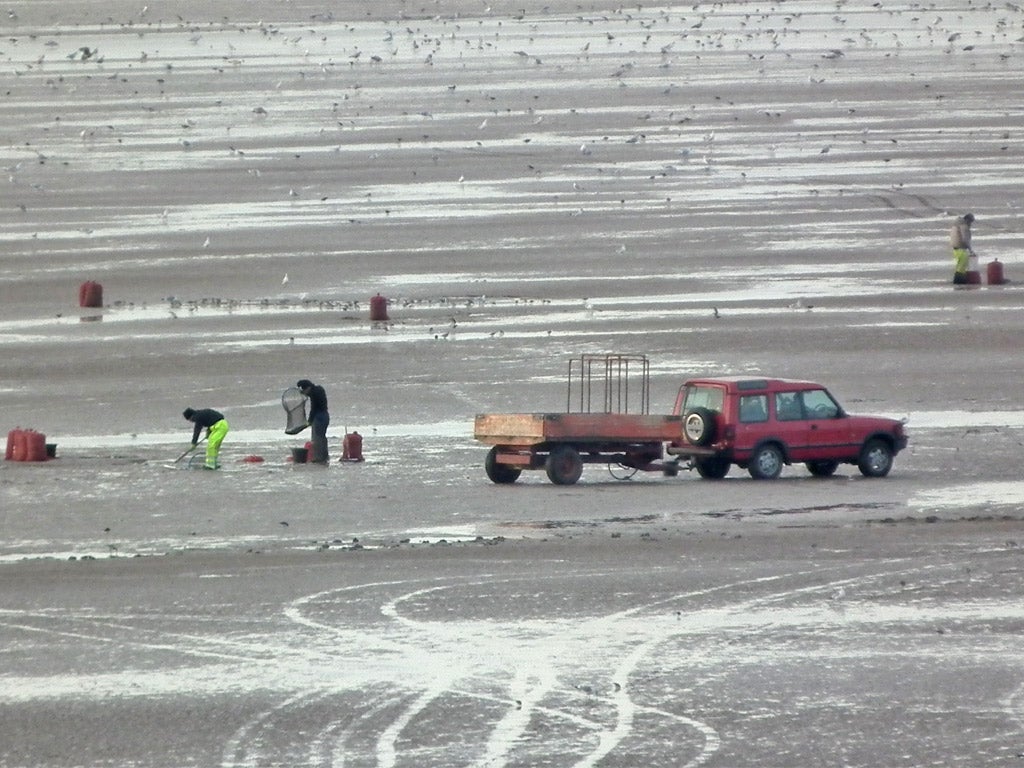 A photograph taken by the Gangmasters Licensing Authority that helped convict Peter Lackey of illegally harvesting shellfish