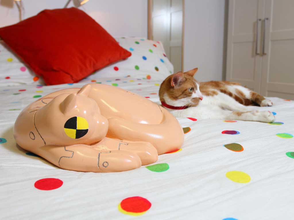 Sleeping partners: Ikea's 'crash test moggy' and live prototype crowd out the humans