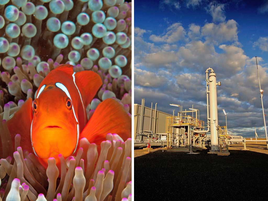 Unesco fears the health of the Great Barrier Reef is at risk from development of sites such as Origin Energy’s coal seam gas plant