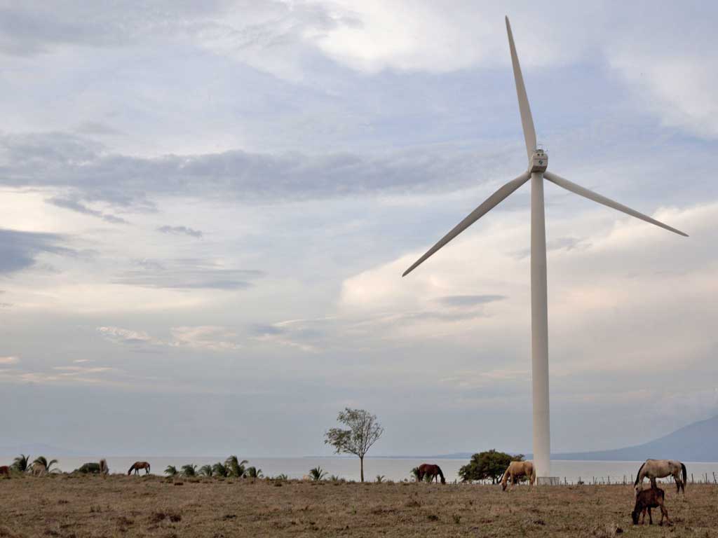 Local communities should accept more wind farms to help Britain with its renewable energy projects