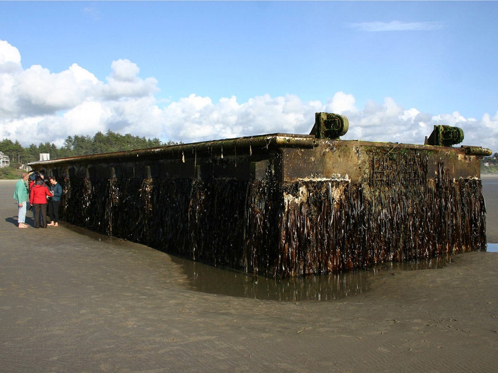 Beached yesterday, the 66ft pontoon from Misawa, made of concrete and steel but filled with styrofoam, is one of four such docks that broke loose during the tsunami