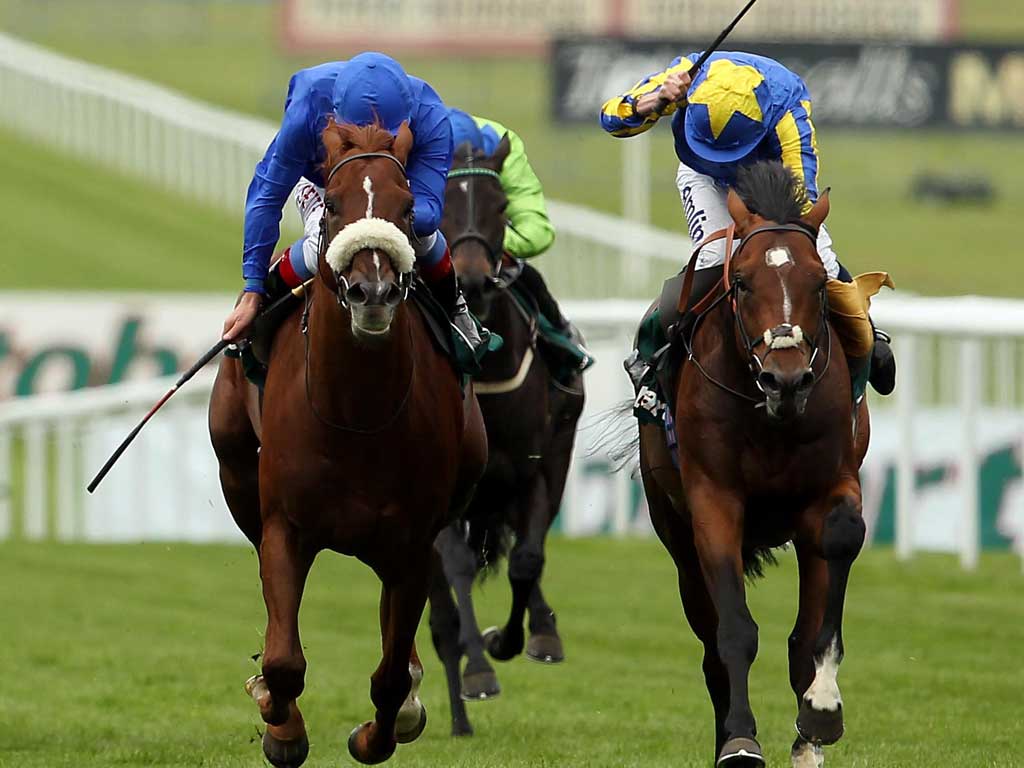 Driven out: Ryan Moore on High Jinx (right) gets back up to beat Anatolian in the Fly London Southend to Dublin Levy Board Handicap Stakes at Newmarket