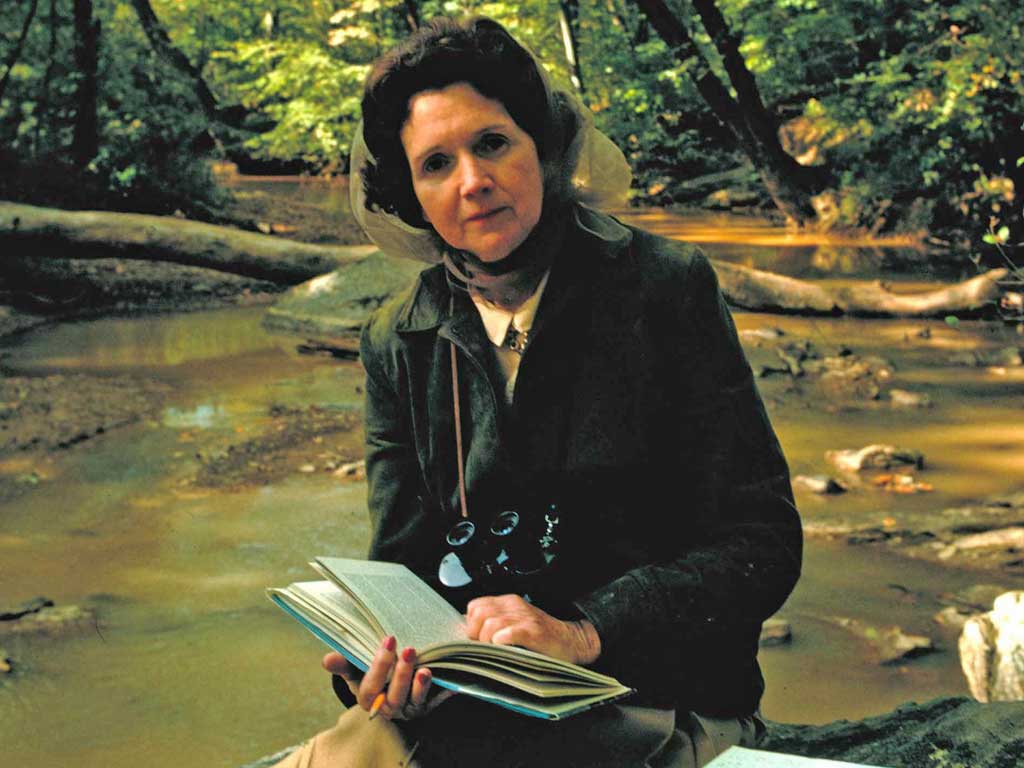 Rachel Carson in 1962: the marine biologist revealed to the world its destructiveness