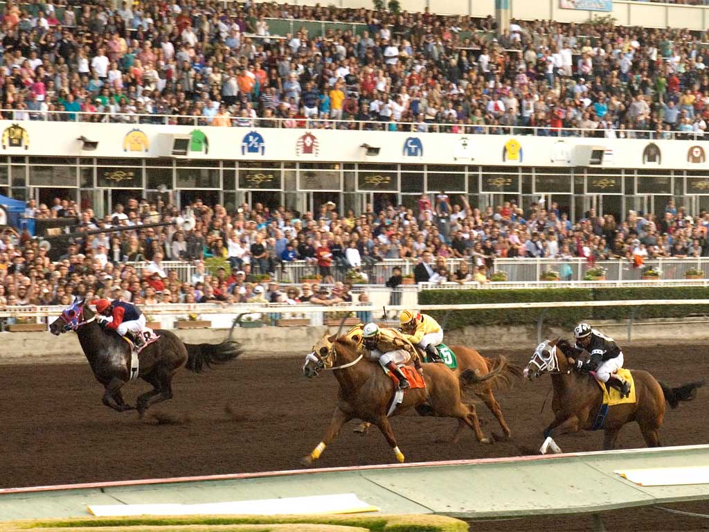 Los Alamitos race course, where Tremor horses have triumphed