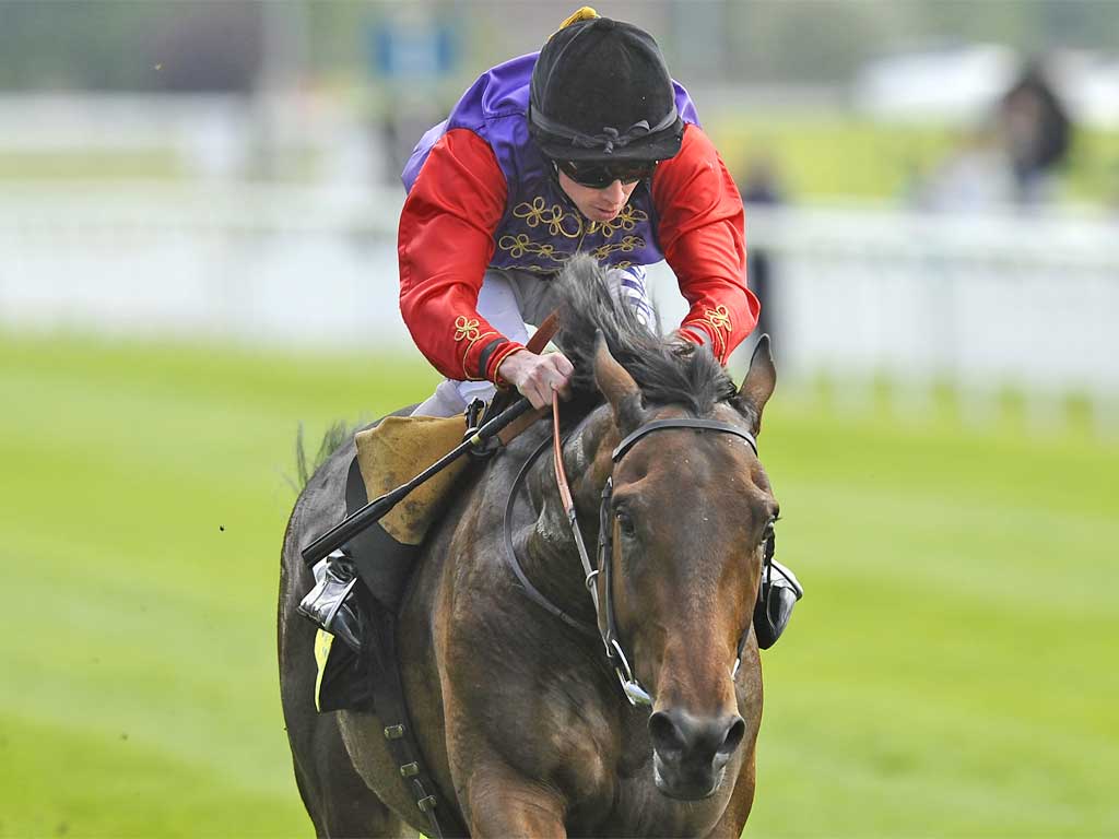 Carlton House can gain Group One glory in the Queen's colours