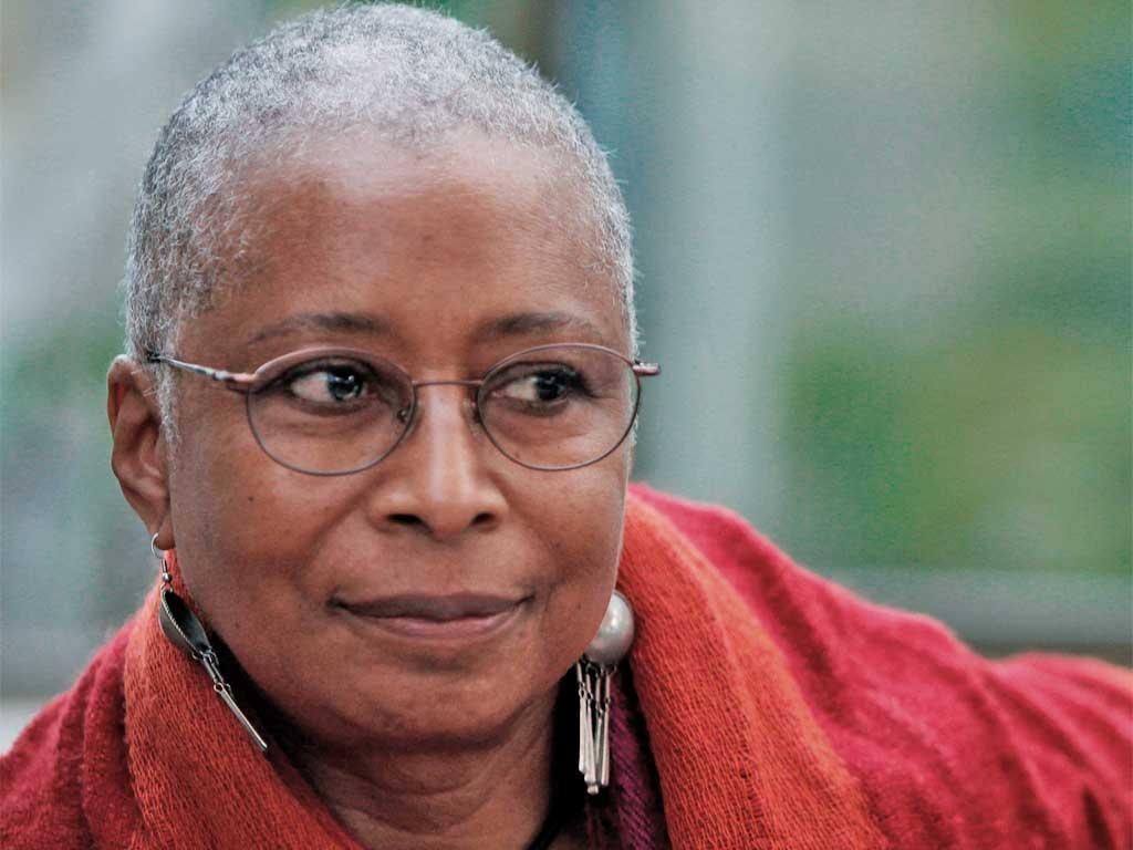 Alice Walker says after growing up under 'American apartheid' she finds the Israeli treatment of Palestinians worse