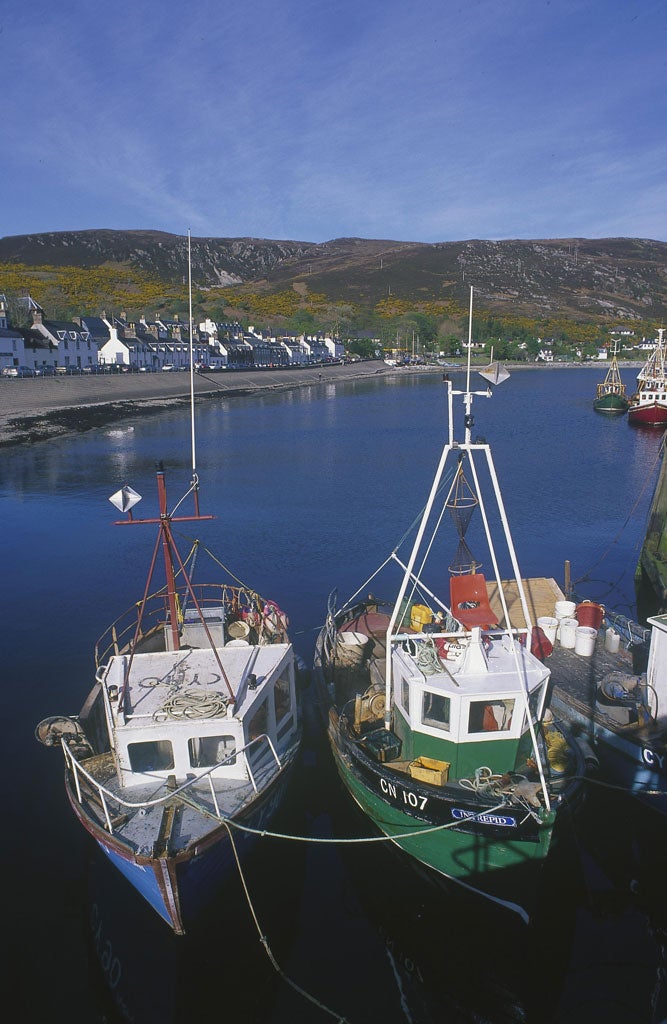 Hooked: Fishing boats in Ullapool