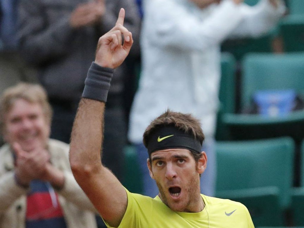 Juan Martin del Potro forced his way into the game's elite in 2009