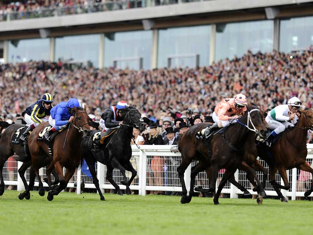 Pilot Error: Luke Nolen pushes Black Caviar (pink colours) all out for victory at Royal Ascot after earlier errors