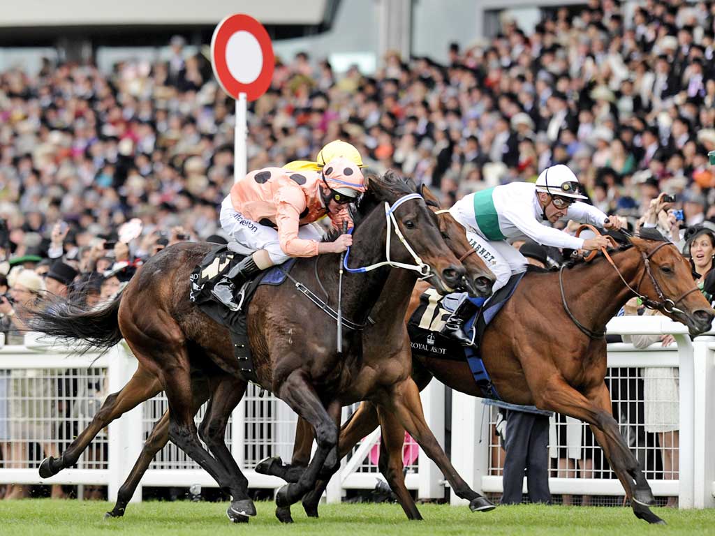 Black Caviar (left) just repels the late lunge of Moonlight Cloud