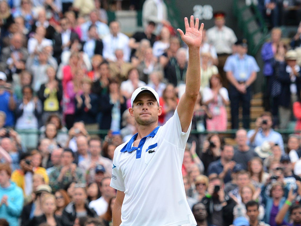 Andy Roddick failed to live up to expectations