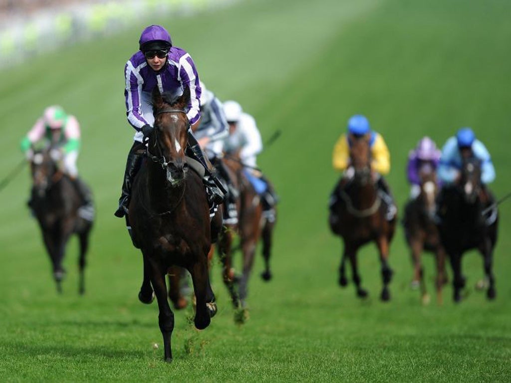 Epsom hero Camelot headlines Ireland's innovative evening Derby