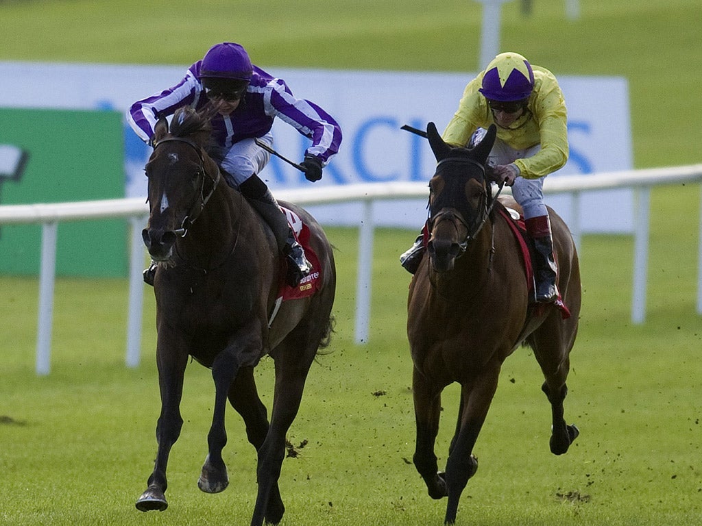 Tough going: Joseph O'Brien (left) wins the Irish Derby from Born To Sea at the Curragh yesterday