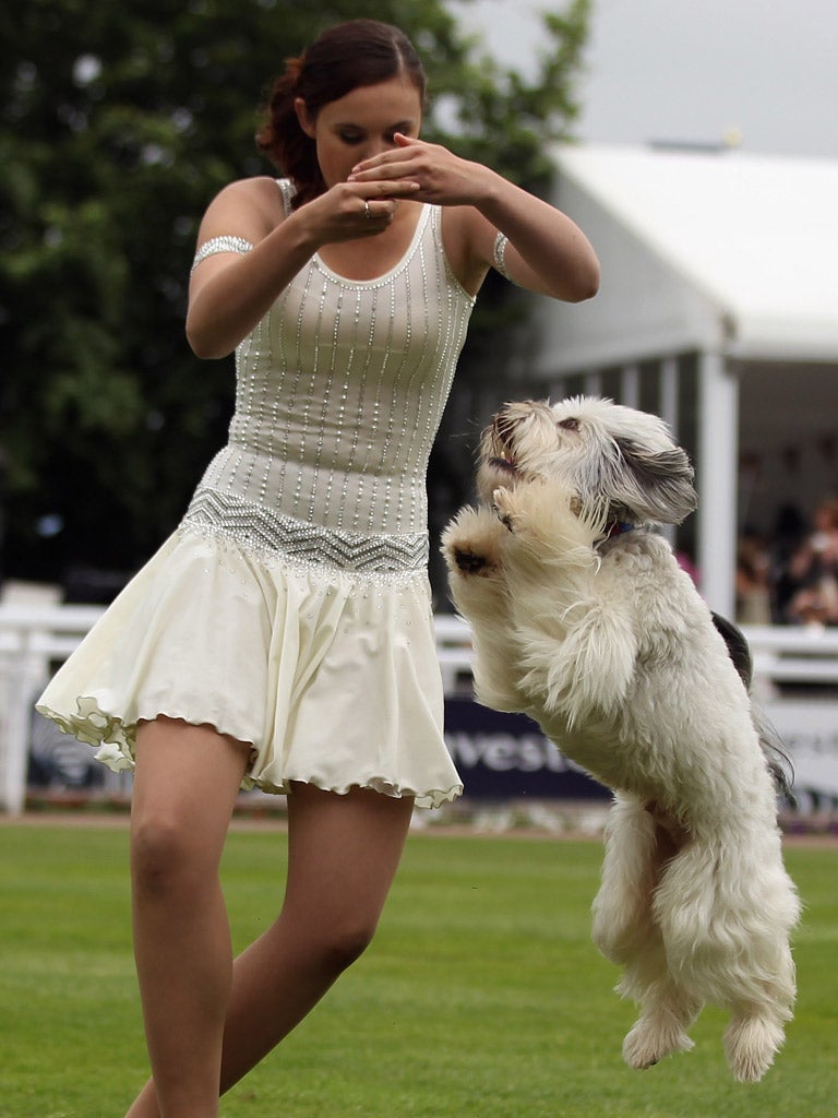 Loveable dancing dog Pudsey is said to have signed a book deal for his life story