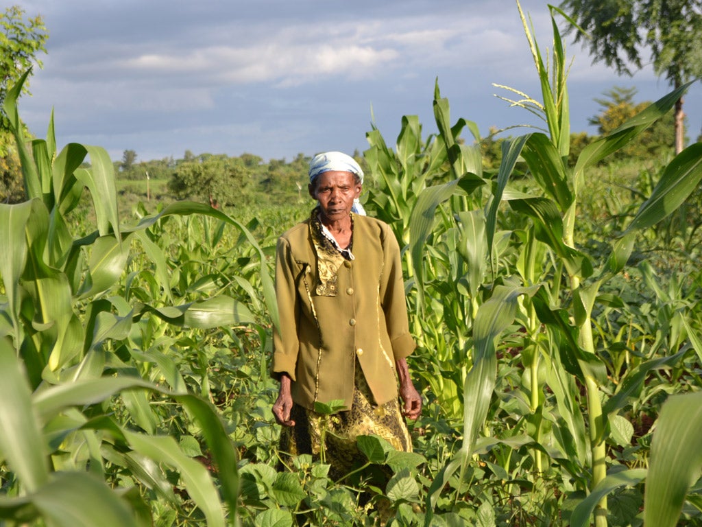 Zippora Mbungo, 87, took a lead in restoring her community