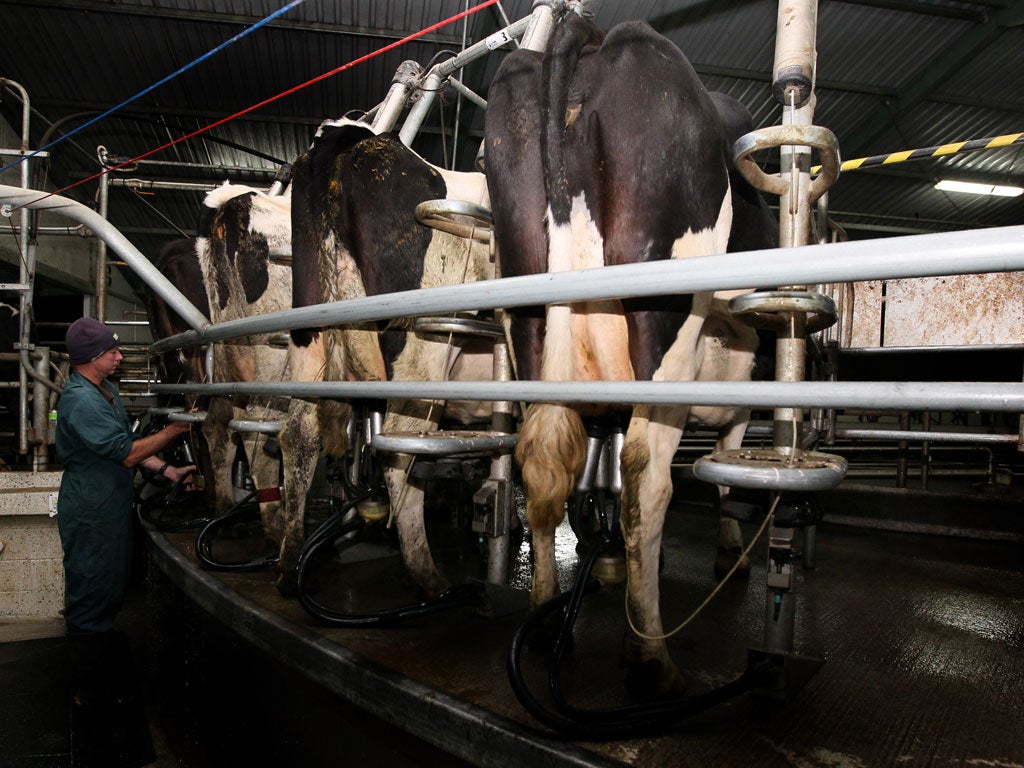 The reductions of up to 2p per litre from August follow cuts for many dairy farmers imposed in the spring