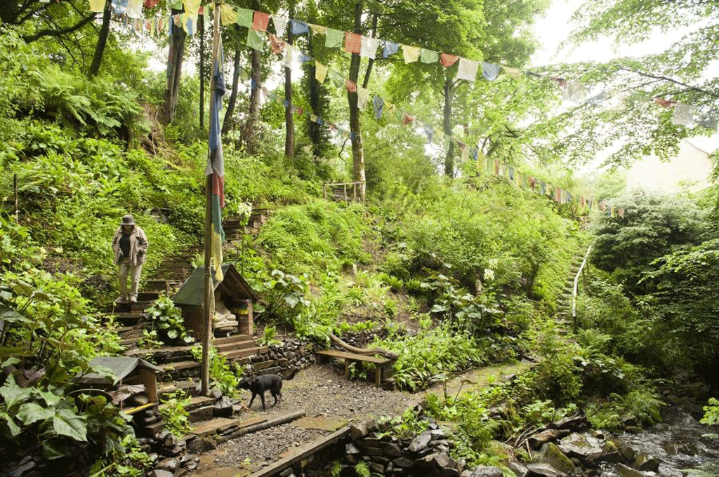 Janet Wheatcroft in her 'Himalayan' garden in the Borders