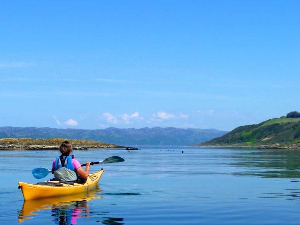 Sea here: guide Carole Lang spots seals in the water