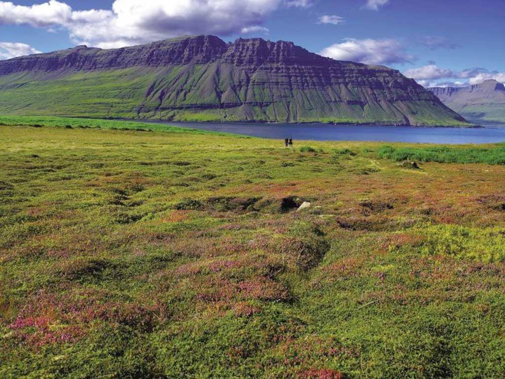 Fjord focus: Iceland's dramatic east coast