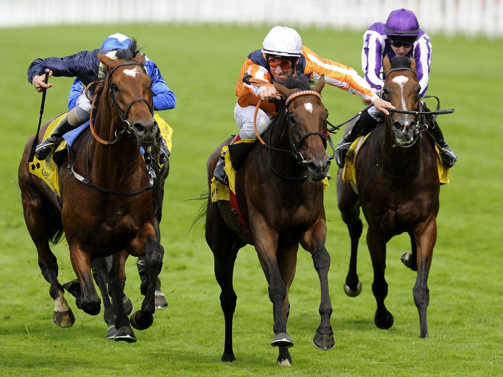 On the nose: Danedream (centre) powers to victory over Nathaniel in the King George VI and Queen Eizabeth Stakes