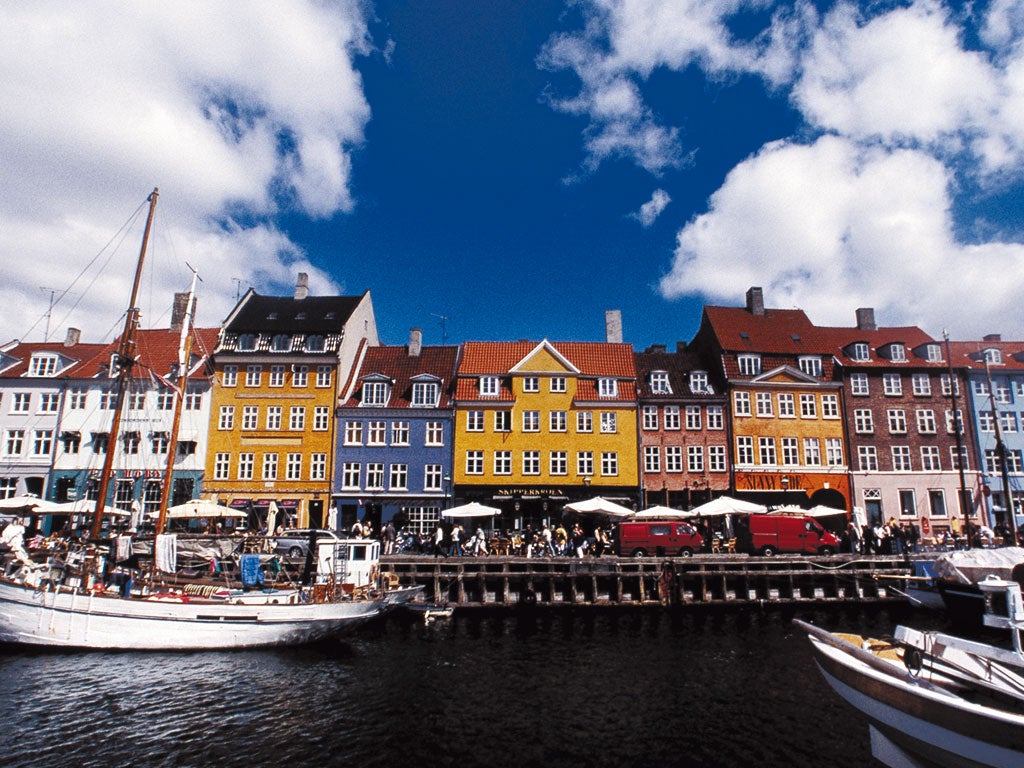 Not so picturesque: 90 tonnes of rubbish has been pulled from Copenhagen harbour since the beginning of March