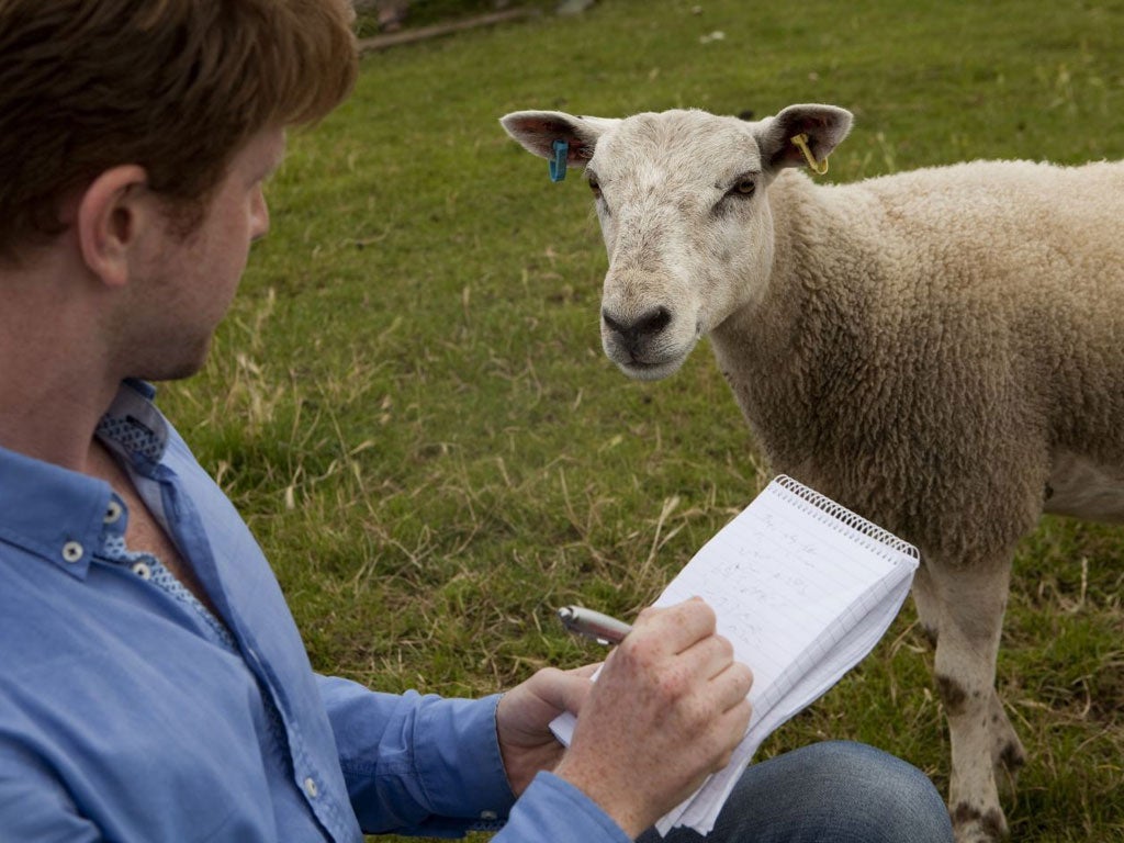 Independent reporter Charlie Cooper interviews Sophie the sheep, one of the animal stars of the Olympic opening ceremony